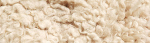 australian wool