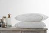 Luxurious Premium Pillow 2pk
