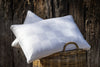 Australian Made Wool Rich Pillow - Medium Profile