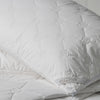 Diamond Rose Cotton Pillow Protector